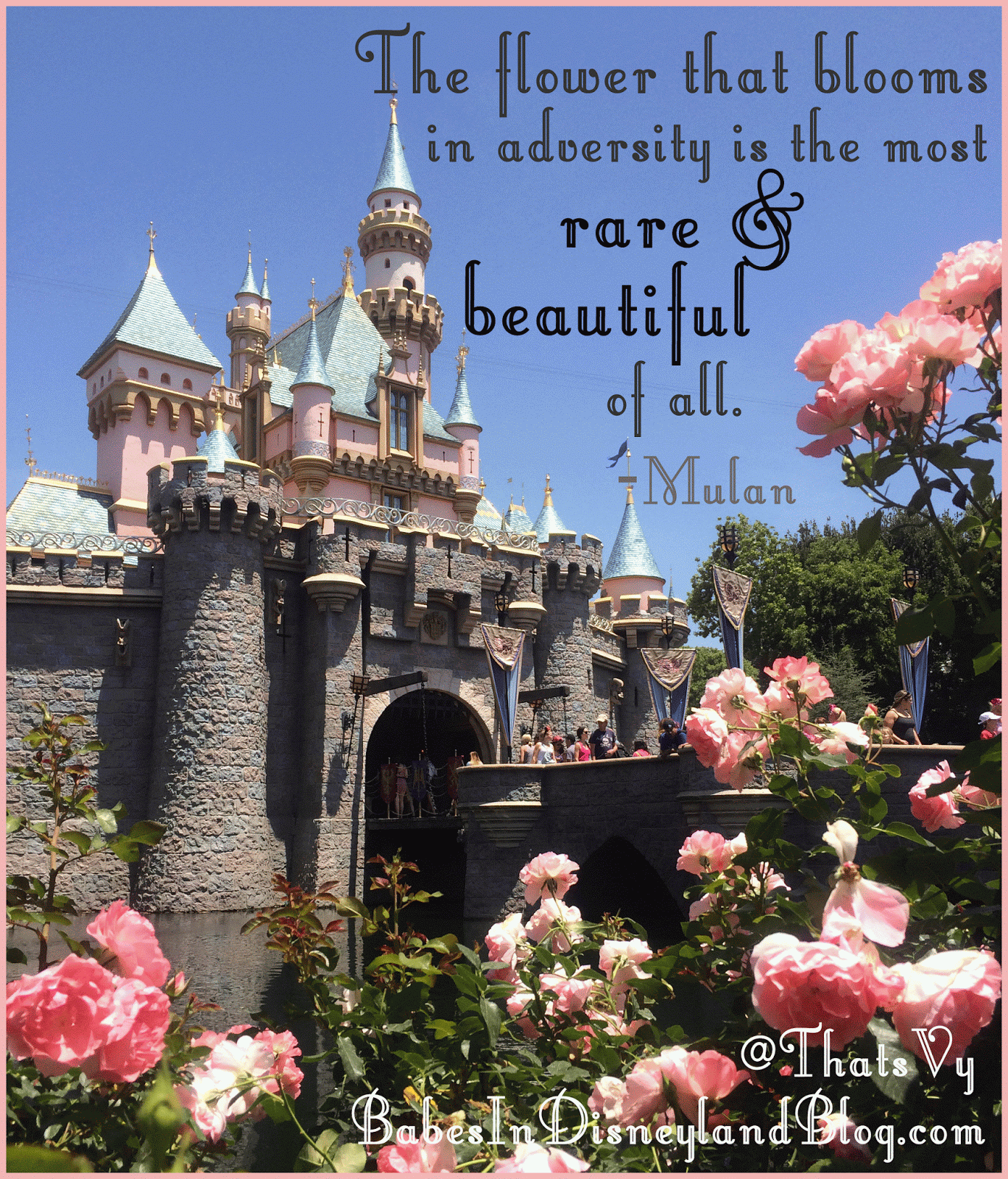 disney sleeping beauty quotes