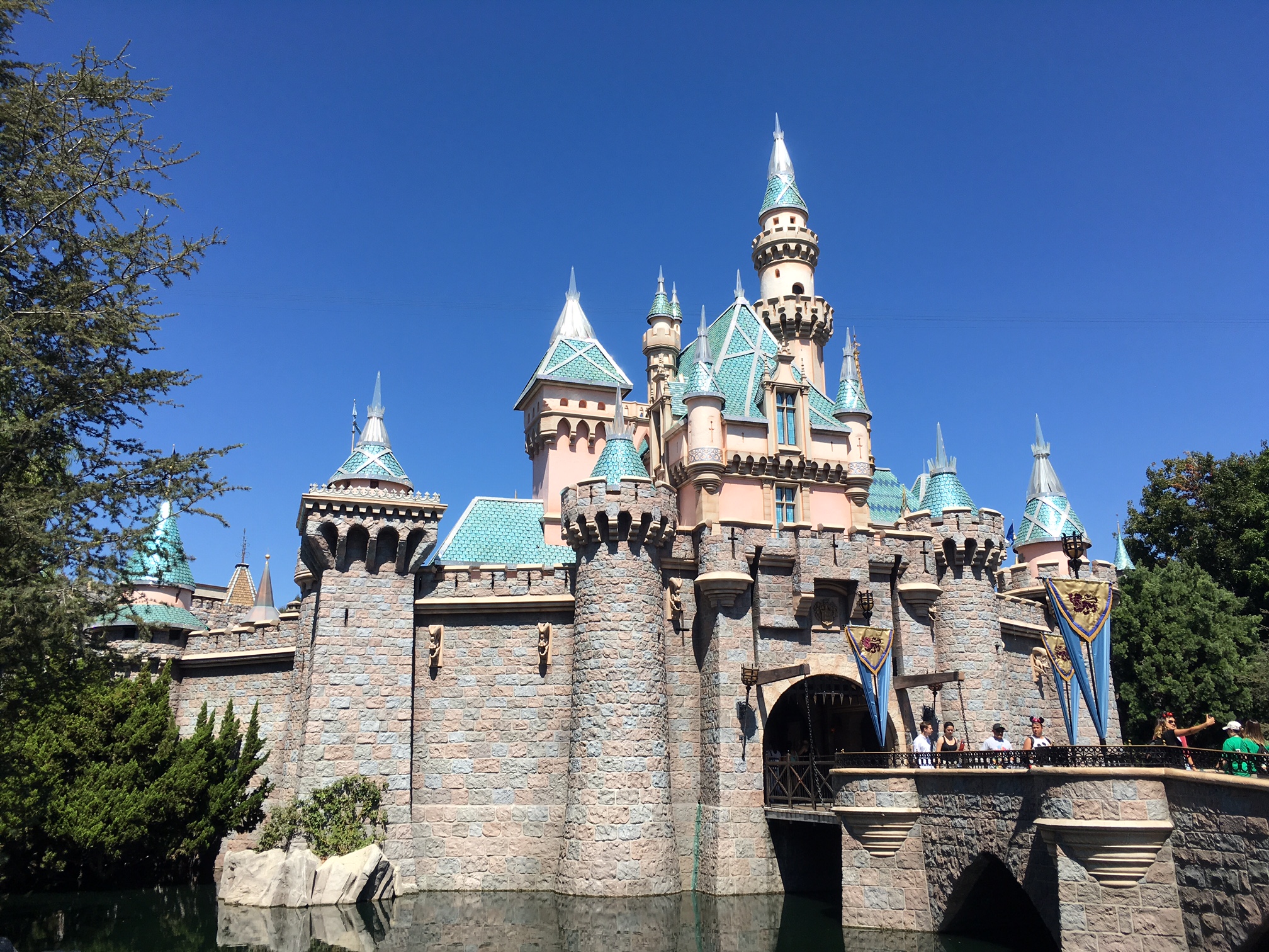 11 Reasons You Have to Visit The Disneyland Resort in ...